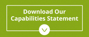 download_capabilities